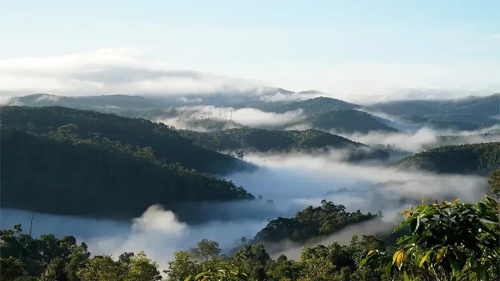 Trekking Khe Sanh 3N2Đ - ảnh 7